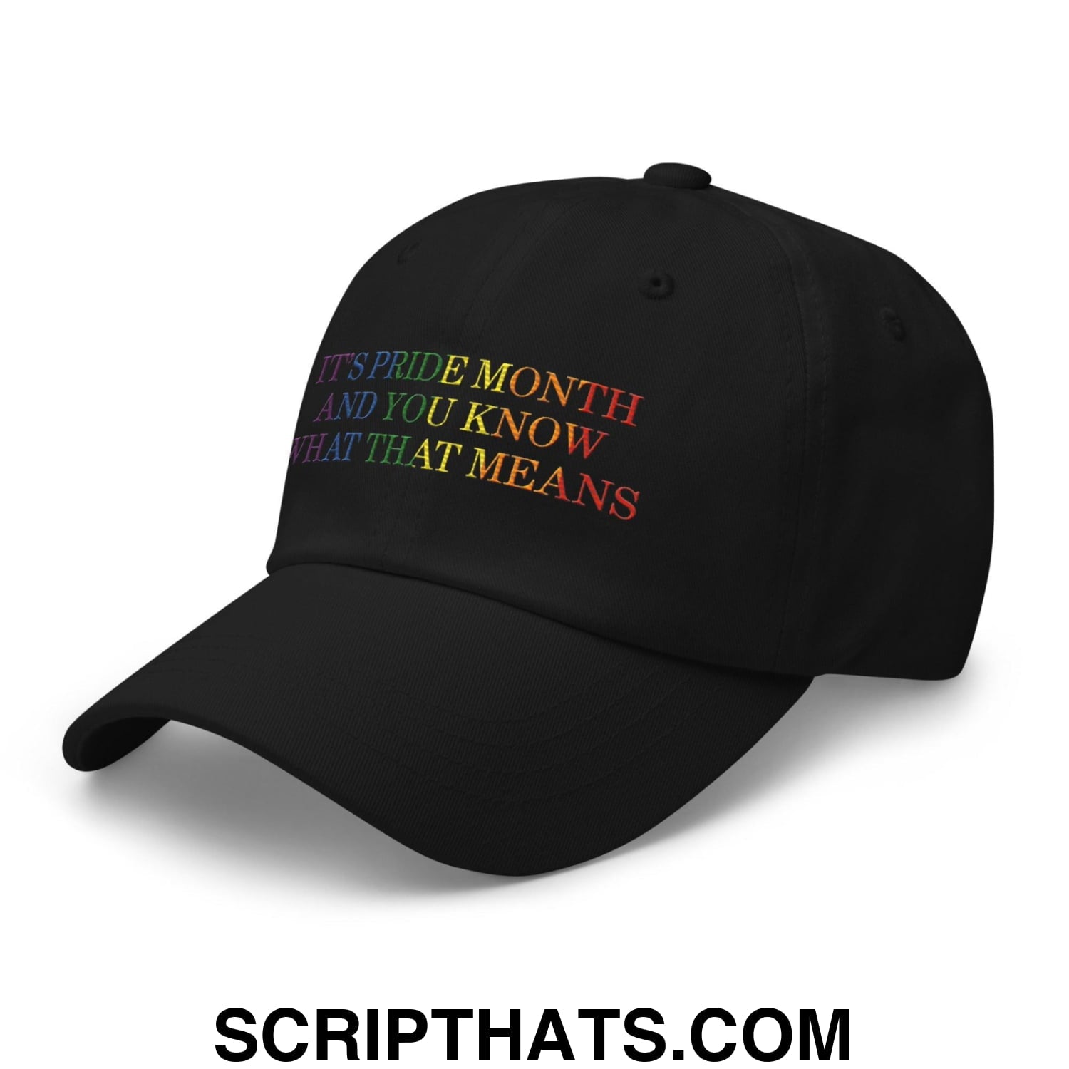 It's Pride Month And You Know What That Means Dad Hat Black
