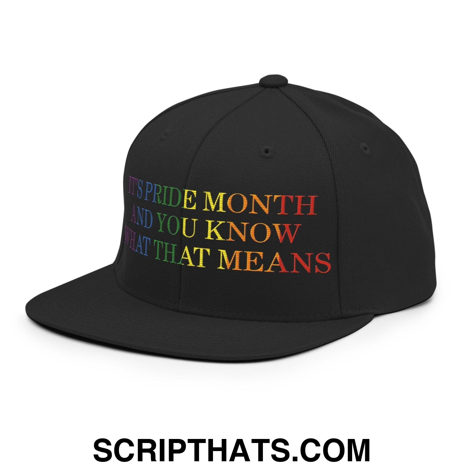 It's Pride Month And You Know What That Means Snapback Hat Black