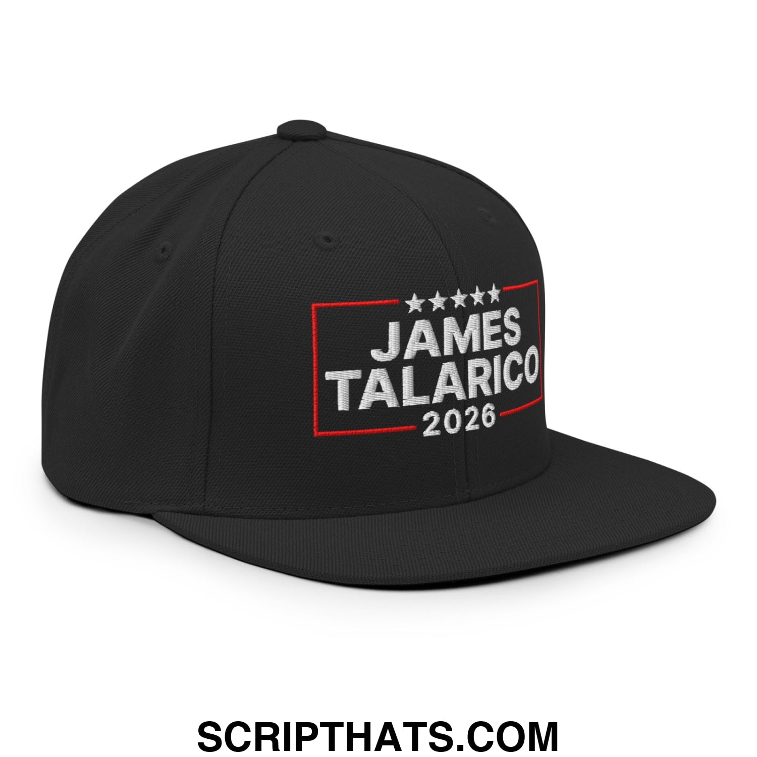 James Talarico 2026 Texas U.S. Senate Embroidered Flat Bill Brim Snapback Hat Black