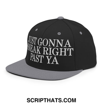 Just Gonna Sneak Right Past Ya Embroidered Flat Bill Brim Snapback Hat Black Silver