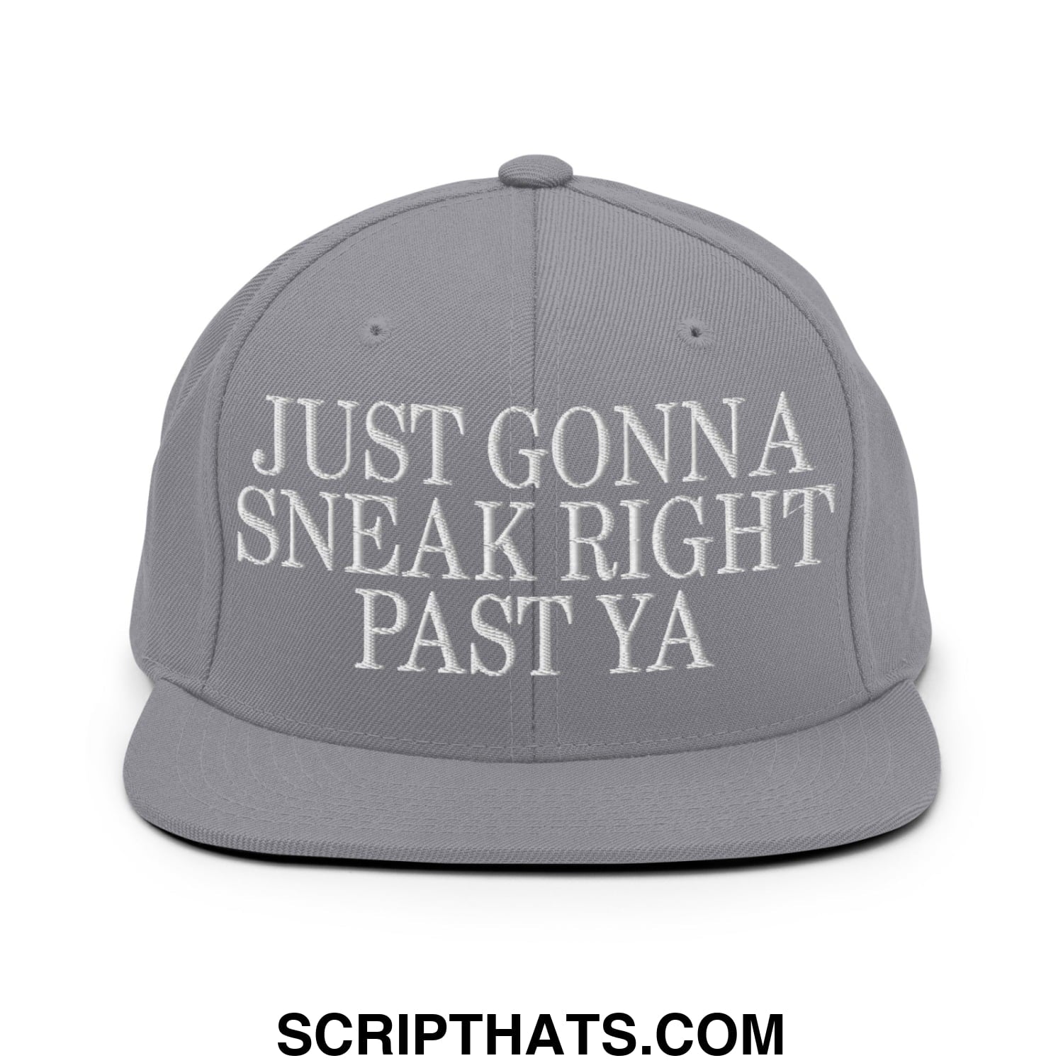 Just Gonna Sneak Right Past Ya Embroidered Flat Bill Brim Snapback Hat Silver