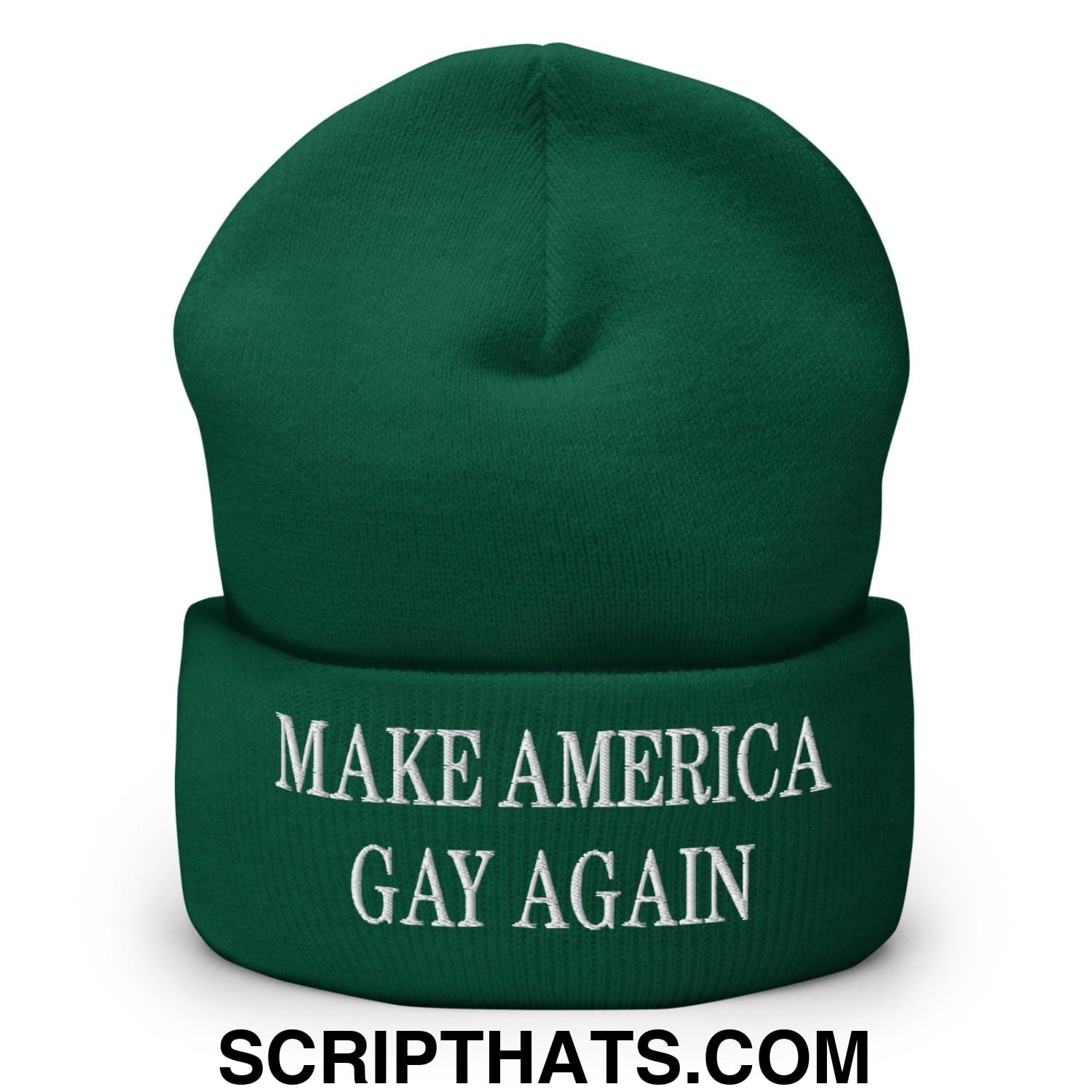 Make America Gay Again MAGA Embroidered Knit Cuffed Beanie Spruce
