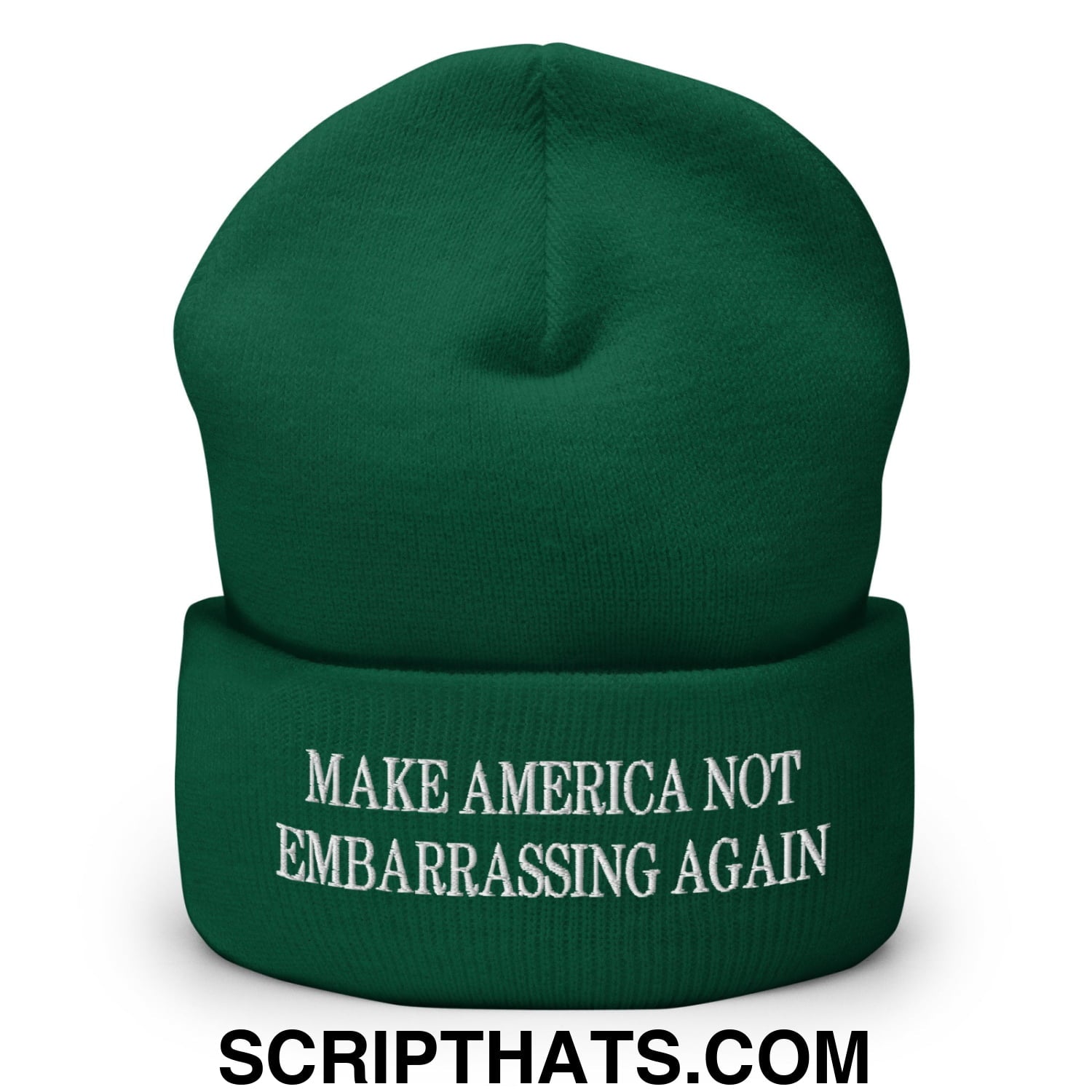 Make America Not Embarrassing Again Embroidered Cuffed Knit Beanie Spruce