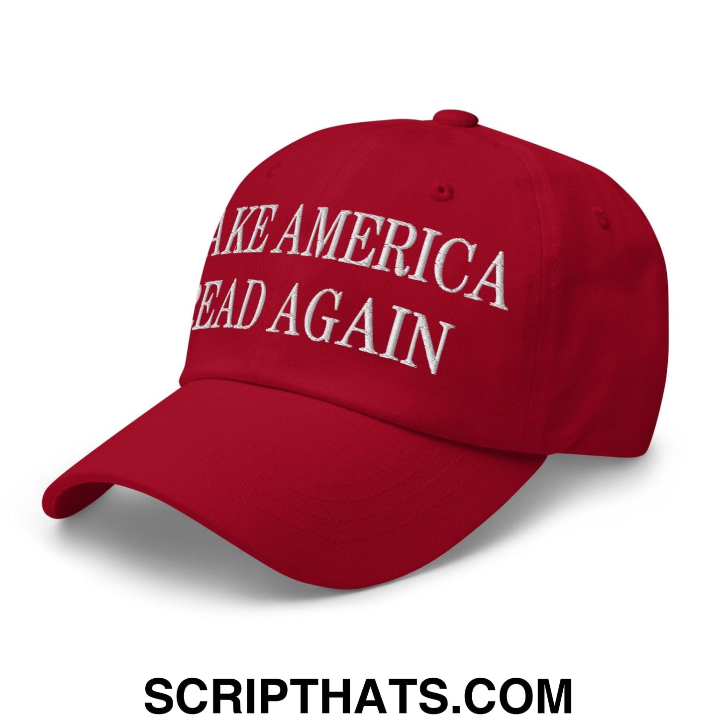 Make America Read Again Embroidered Dad Hat Cranberry