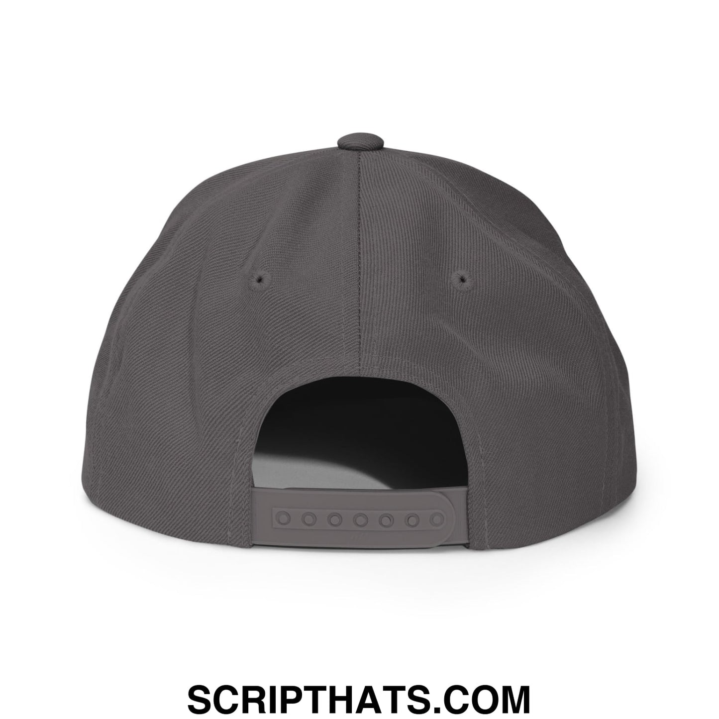 Gray make america woke again snapback hat with six-panel structured design and adjustable strap shown from back side