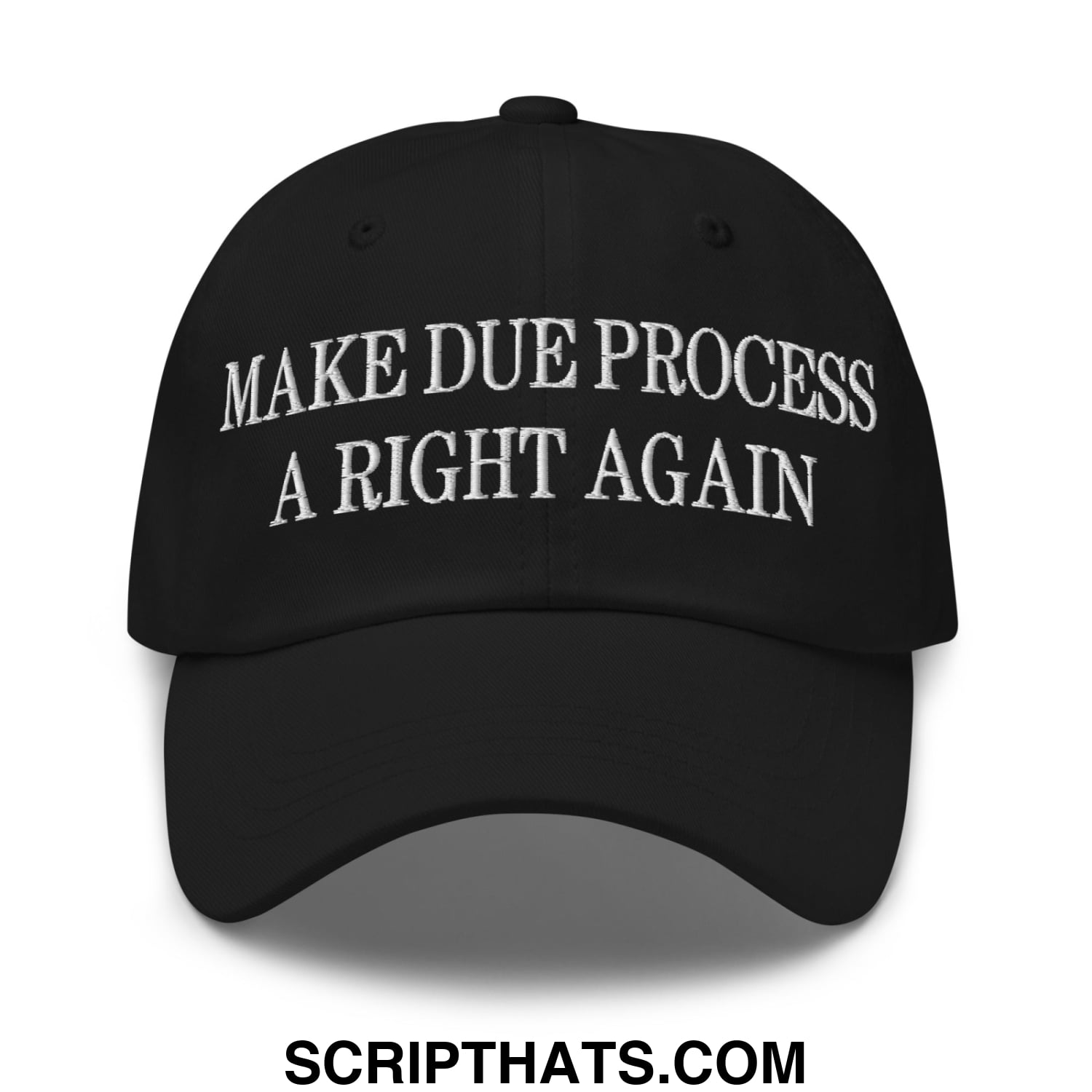 Make Due Process a Right Again Embroidered Unstructured Dad Hat Black