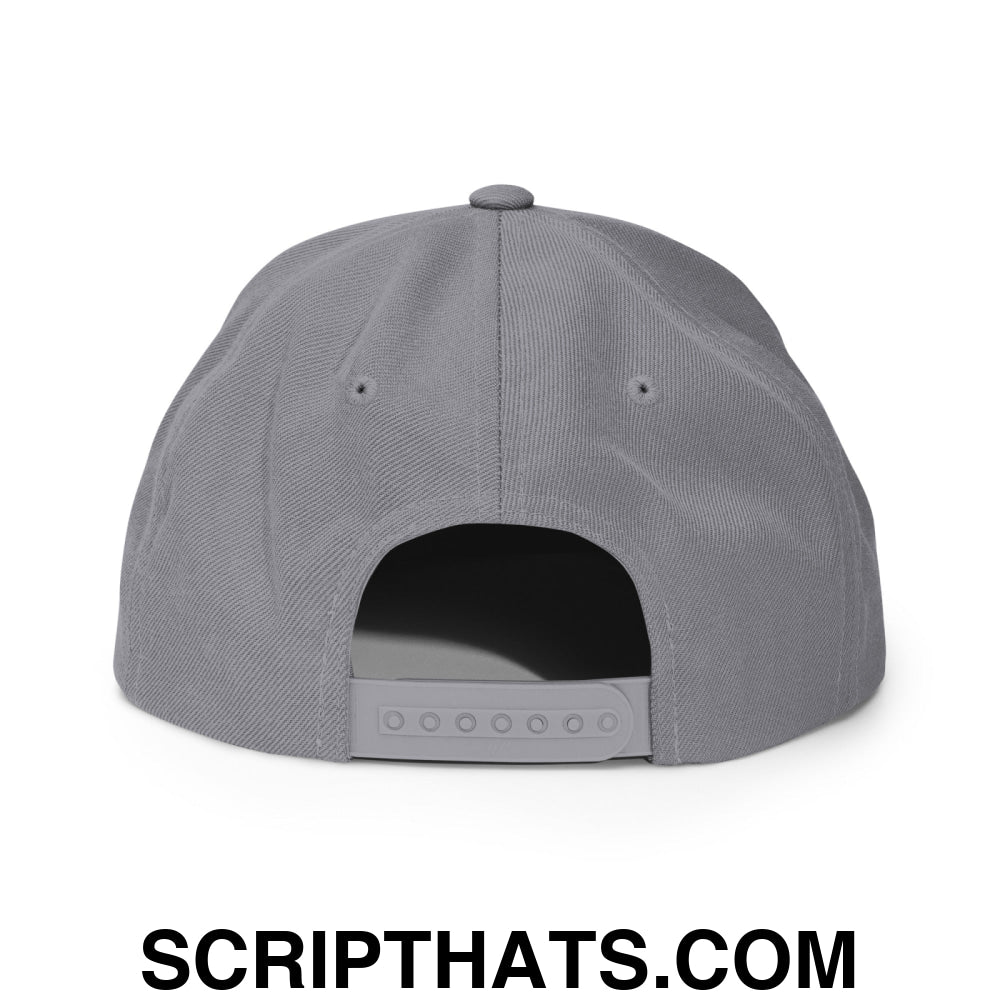 Make Elections Free Again Embroidered Flat Bill Brim Snapback Hat Silver