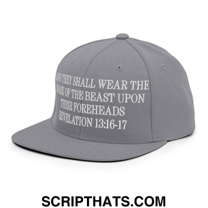 Mark of the Beast Revelation 13:16–17 Embroidered Flat Brim Bill Snapback Hat Silver