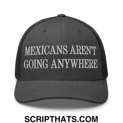 Mexicans Aren't Going Anywhere Embroidered Mesh Trucker Hat Dark Heather Gray