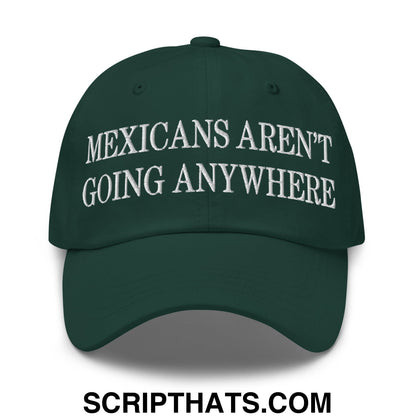 Mexicans Aren't Going Anywhere Embroidered Unstructured Dad Hat Spruce