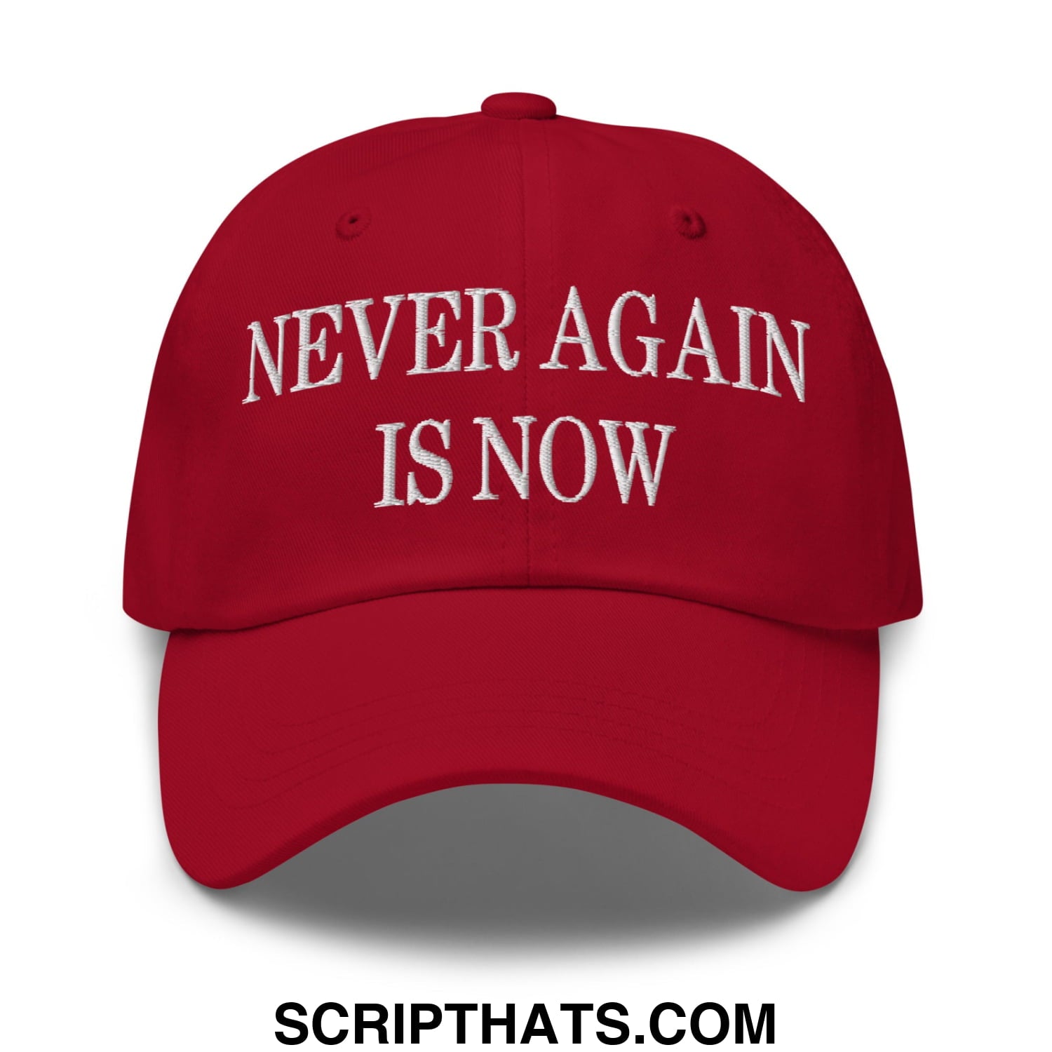 Never Again is Now Embroidered Unstructured Dad Hat Cranberry
