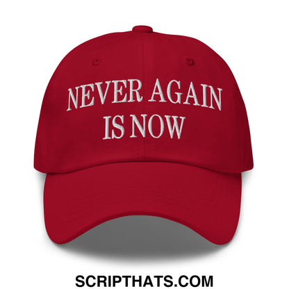 Never Again is Now Embroidered Unstructured Dad Hat Cranberry