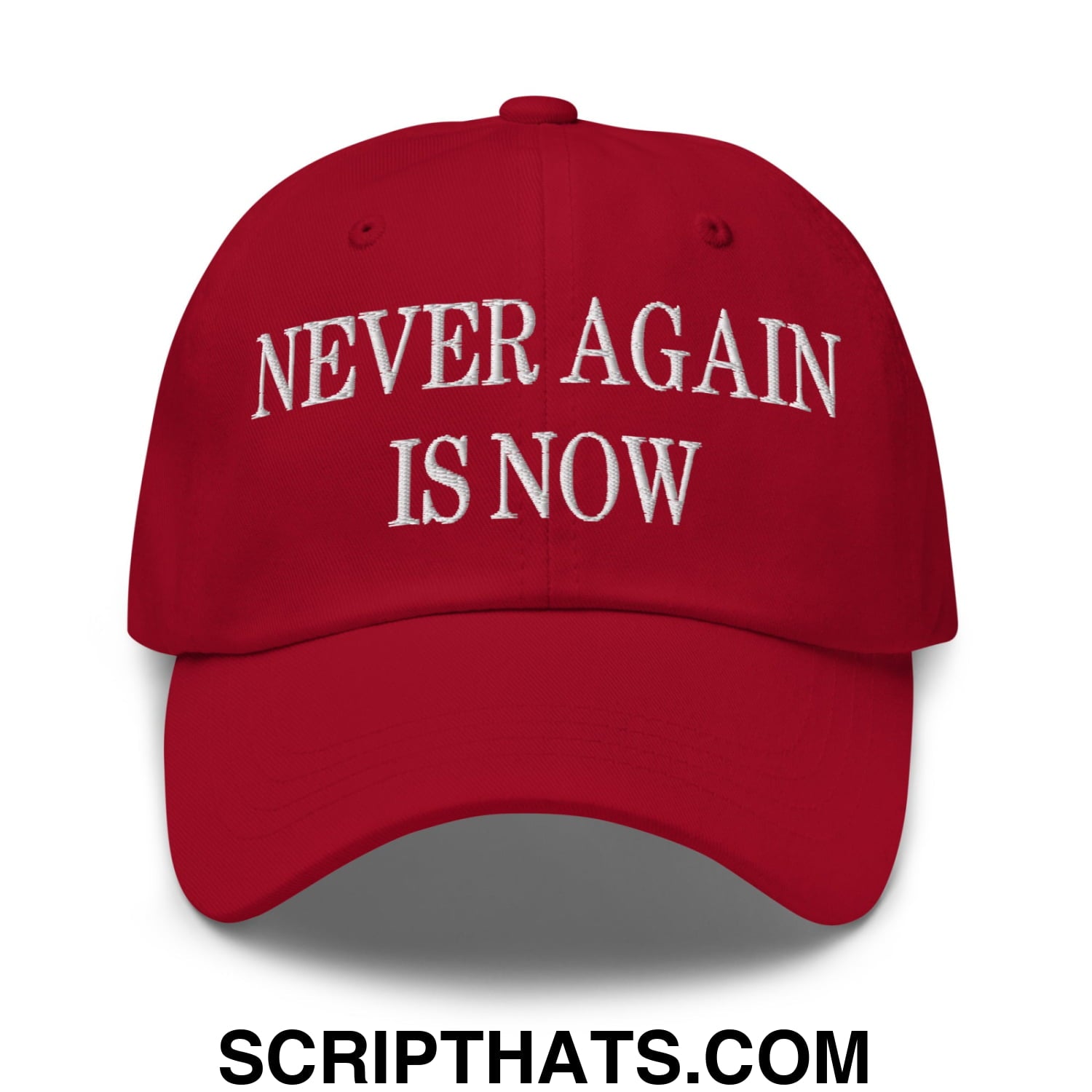 Never Again is Now Embroidered Unstructured Dad Hat Cranberry