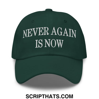 Never Again is Now Embroidered Unstructured Dad Hat Spruce