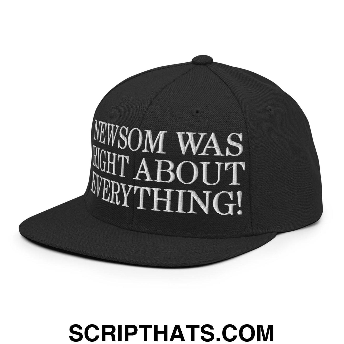 Newsom Was Right About Everything! Embroidered Flat Bill Brim Snapback Hat Black