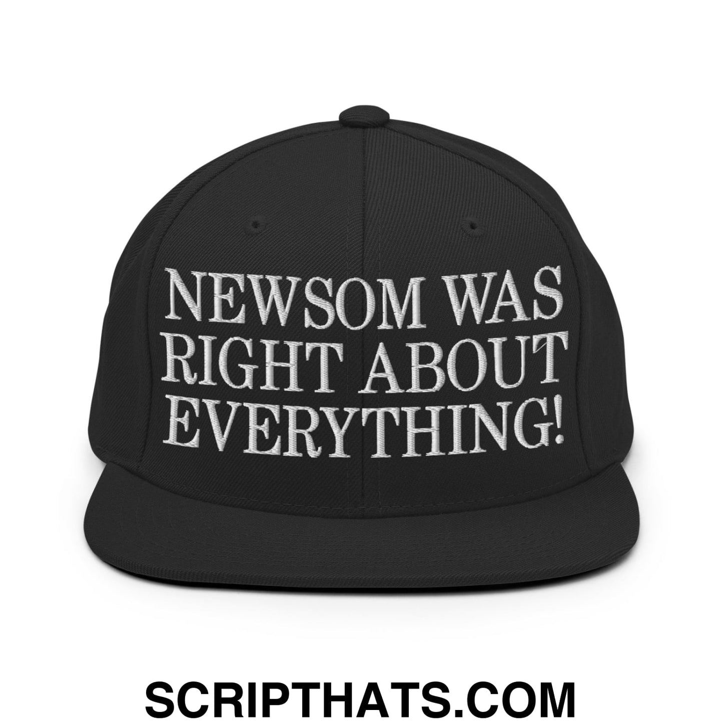Newsom Was Right About Everything! Embroidered Flat Bill Brim Snapback Hat Black