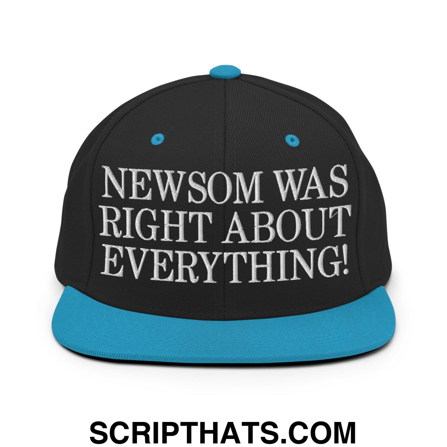 Newsom Was Right About Everything! Embroidered Flat Bill Brim Snapback Hat Black Teal