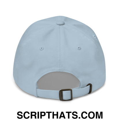 Newsom Was Right About Everything! Embroidered Unstructured Dad Hat Light Blue