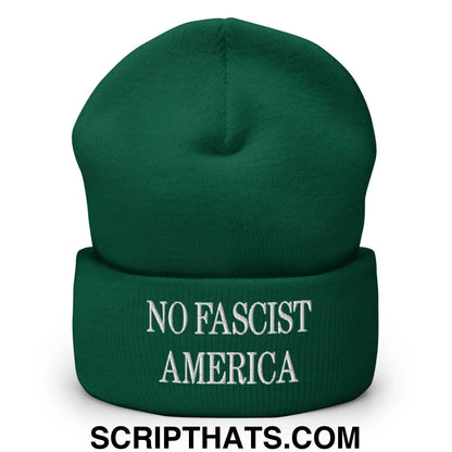 No Fascist America Embroidered Cuffed Knit Beanie Spruce