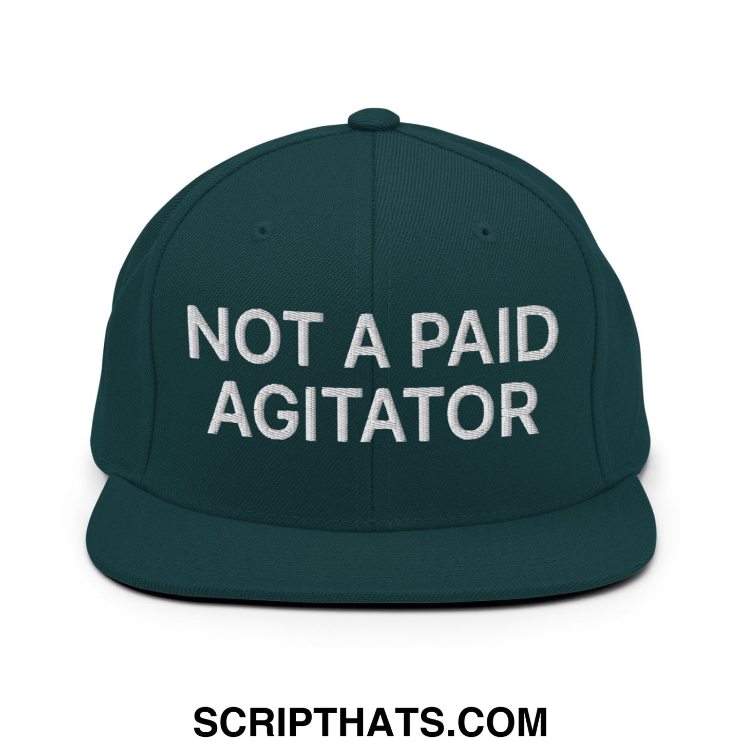 Not a Paid Agitator Embroidered Flat Bill Brim Snapback Hat Spruce