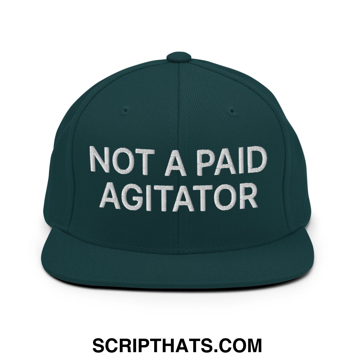 Not a Paid Agitator Embroidered Flat Bill Brim Snapback Hat Spruce