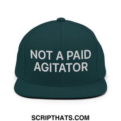 Not a Paid Agitator Embroidered Flat Bill Brim Snapback Hat Spruce