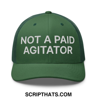 Not a Paid Agitator Embroidered Mesh Trucker Hat Evergreen