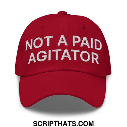 Not a Paid Agitator Embroidered Unstructured Dad Hat Cranberry