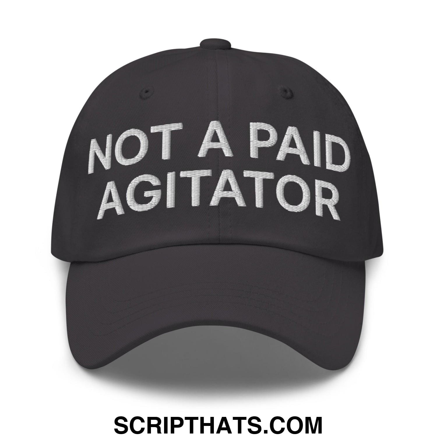 Not a Paid Agitator Embroidered Unstructured Dad Hat Dark Grey