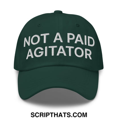 Not a Paid Agitator Embroidered Unstructured Dad Hat Spruce