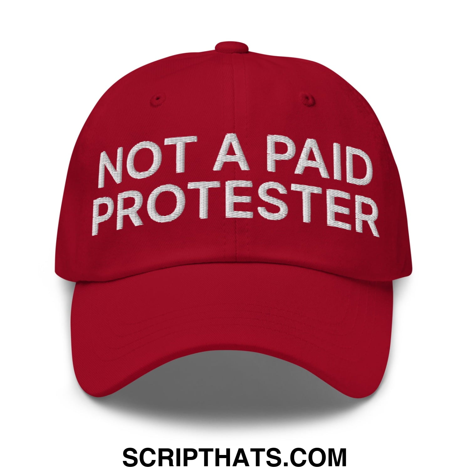 Not a Paid Protester Embroidered Unstructured Dad Hat Cranberry