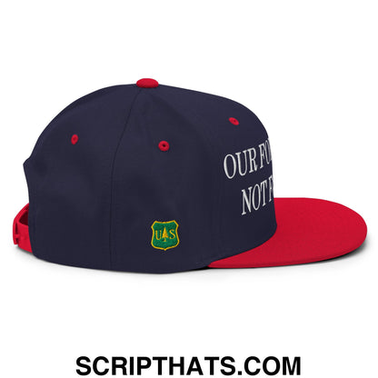Our Forests Are Not For Sale USFS US Flag Embroidered Flat Brim Snapback Hat Navy Red