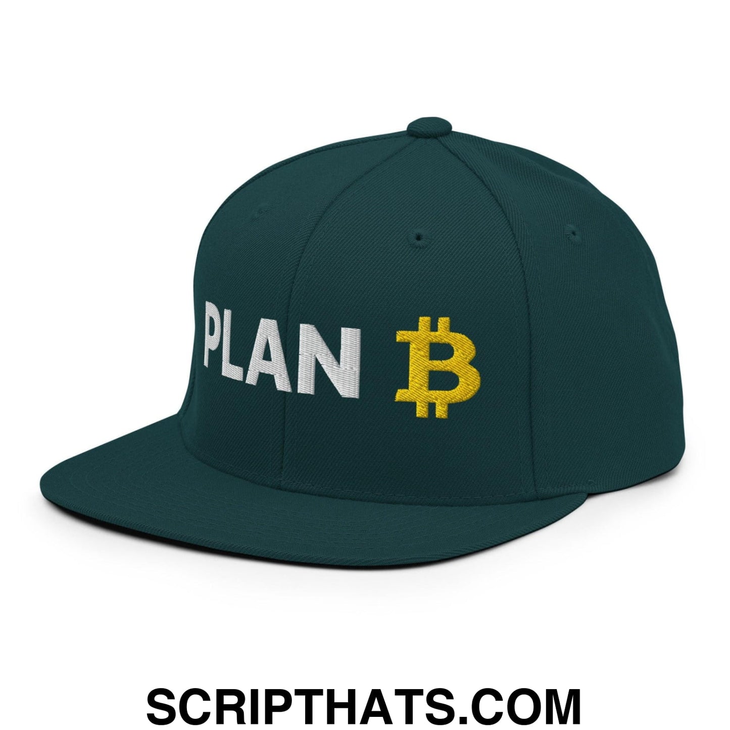 Plan Bitcoin Snapback Hat Spruce