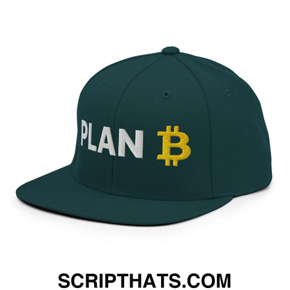 Plan Bitcoin Snapback Hat Spruce
