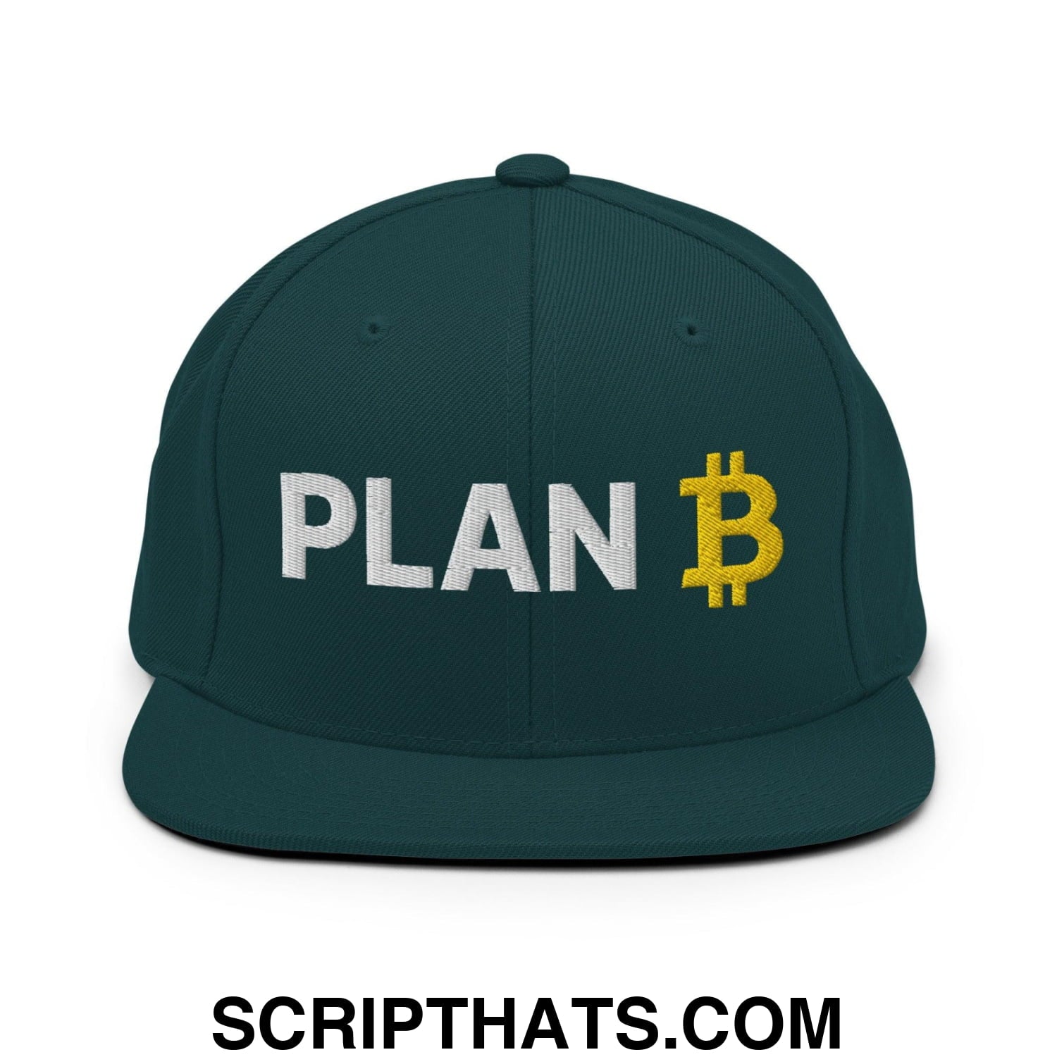 Plan Bitcoin Snapback Hat Spruce