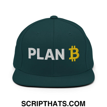 Plan Bitcoin Snapback Hat Spruce