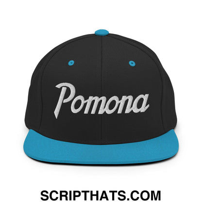 Pomona Snapback Hat Black Teal