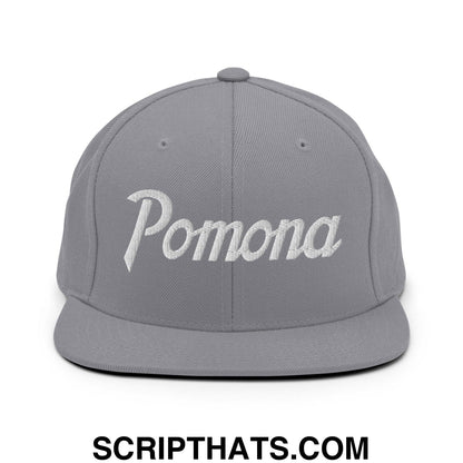 Pomona Snapback Hat Silver