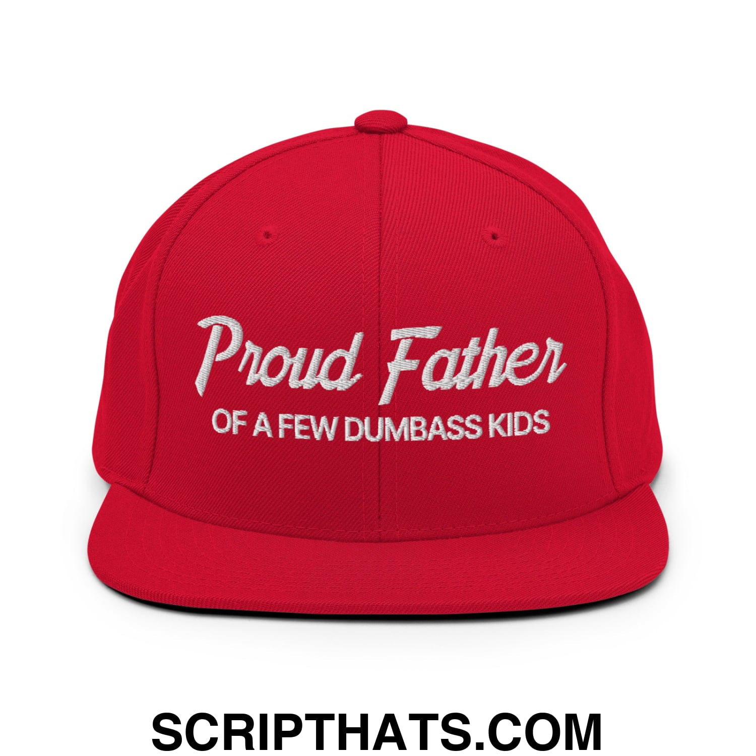 Proud Father of a few Dumbass Kids Embroidered Flat Bill Brim Snapback Hat Red