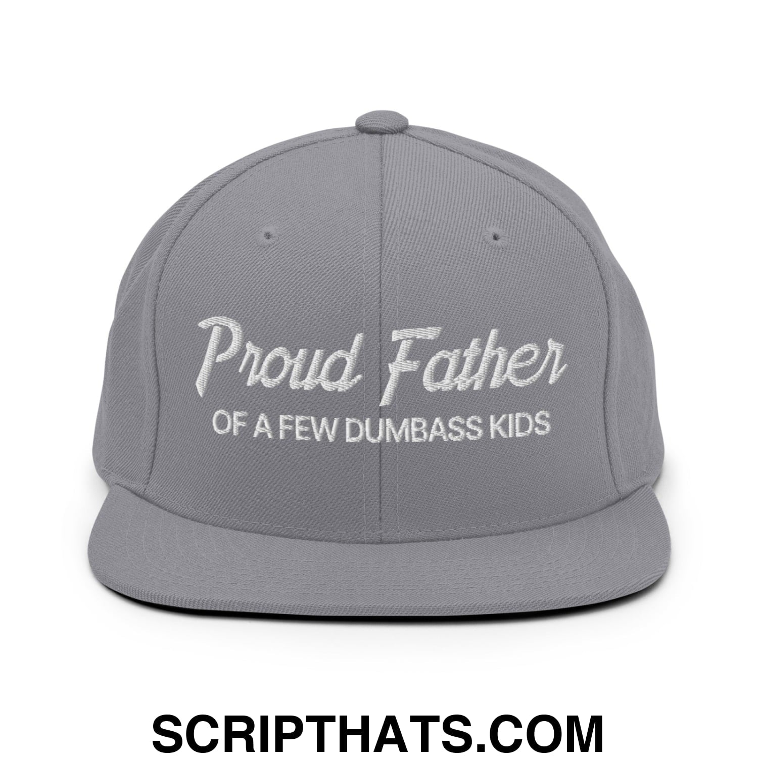 Proud Father of a few Dumbass Kids Embroidered Flat Bill Brim Snapback Hat Silver