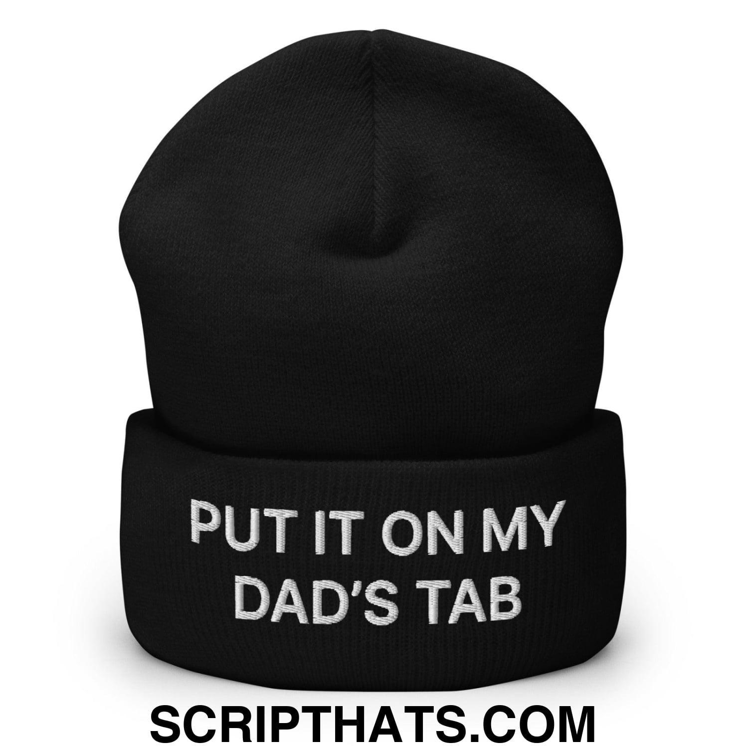 Put It on My Dad's Tab Embroidered Knit Cuffed Beanie Black
