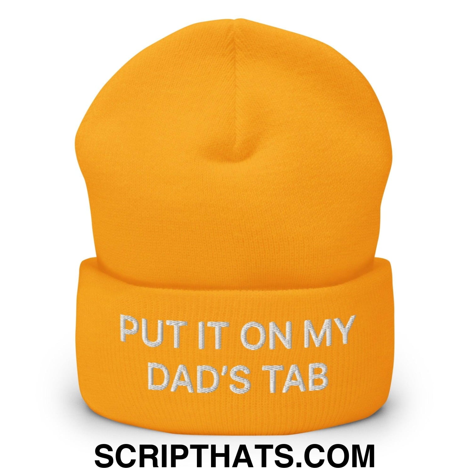 Put It on My Dad's Tab Embroidered Knit Cuffed Beanie Gold