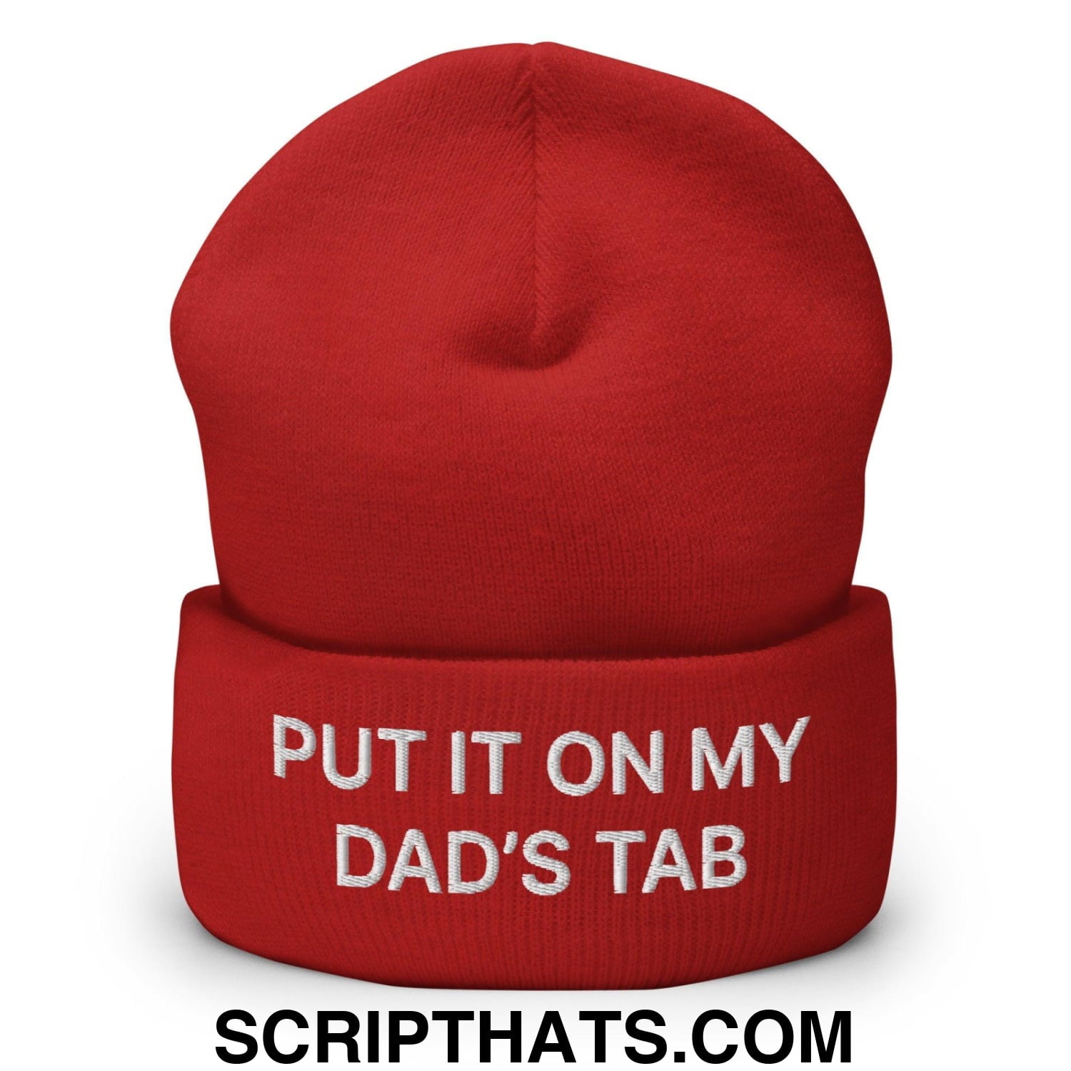 Put It on My Dad's Tab Embroidered Knit Cuffed Beanie Red
