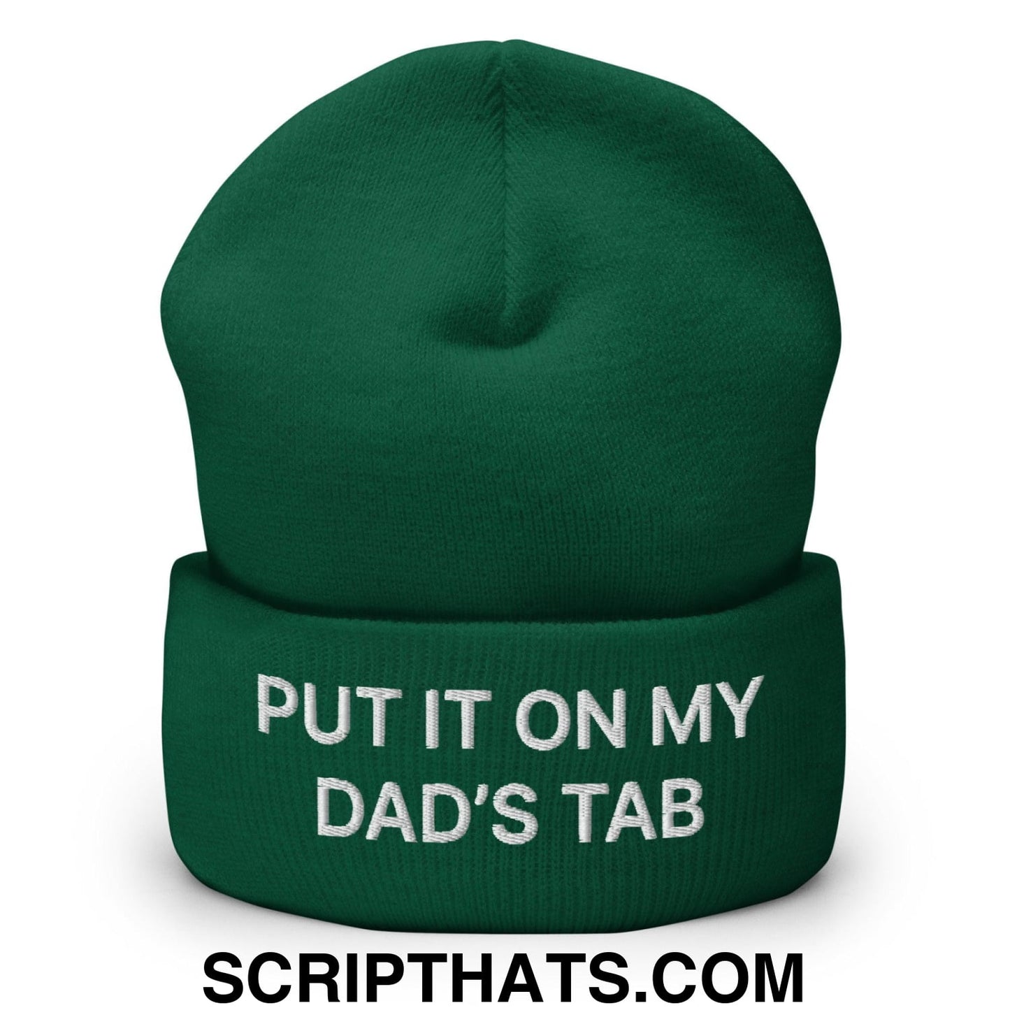 Put It on My Dad's Tab Embroidered Knit Cuffed Beanie Spruce