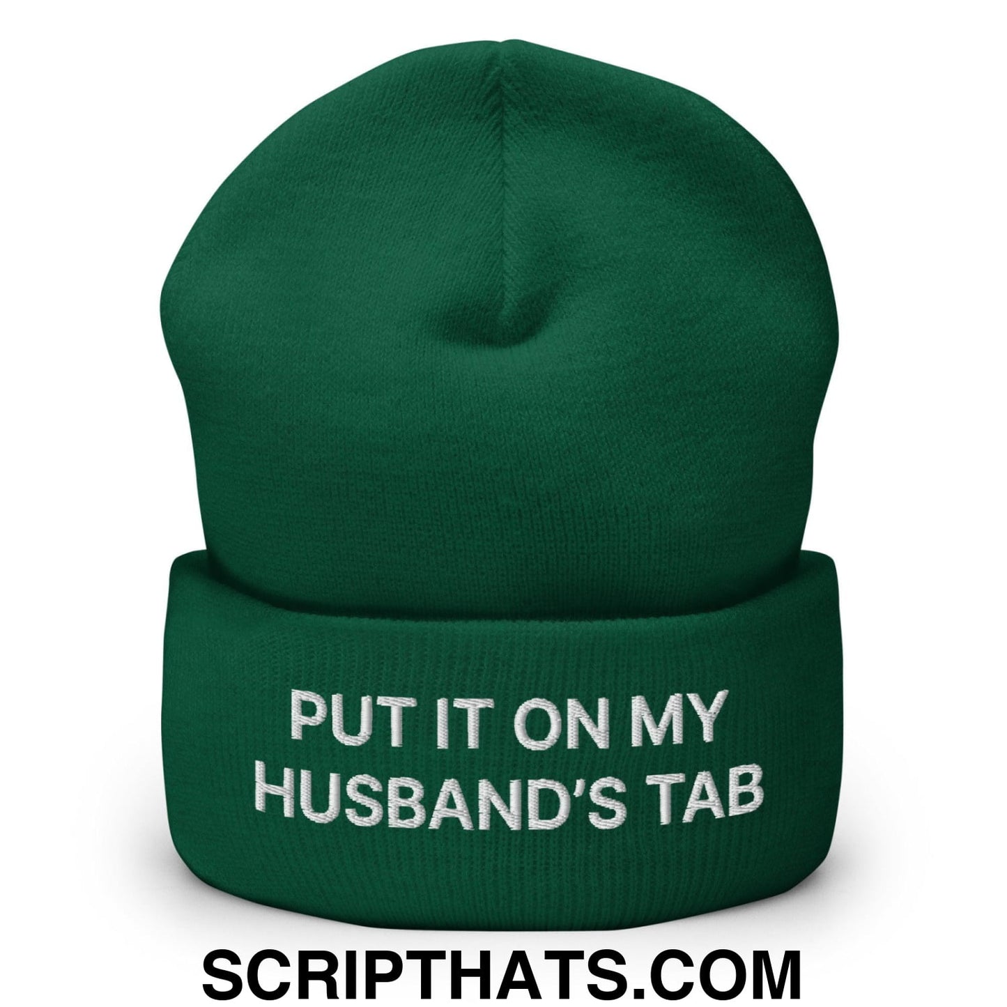 Put It on My Husband's Tab Embroidered Knit Cuffed Beanie Spruce