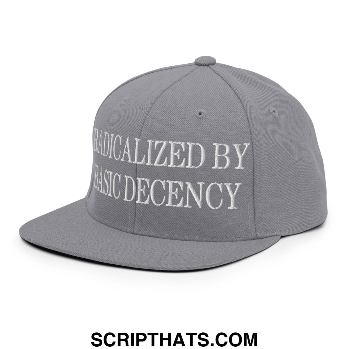 Gray snapback cap with white embroidered text radicalized by basic decency has a flat bill brim and adjustable back