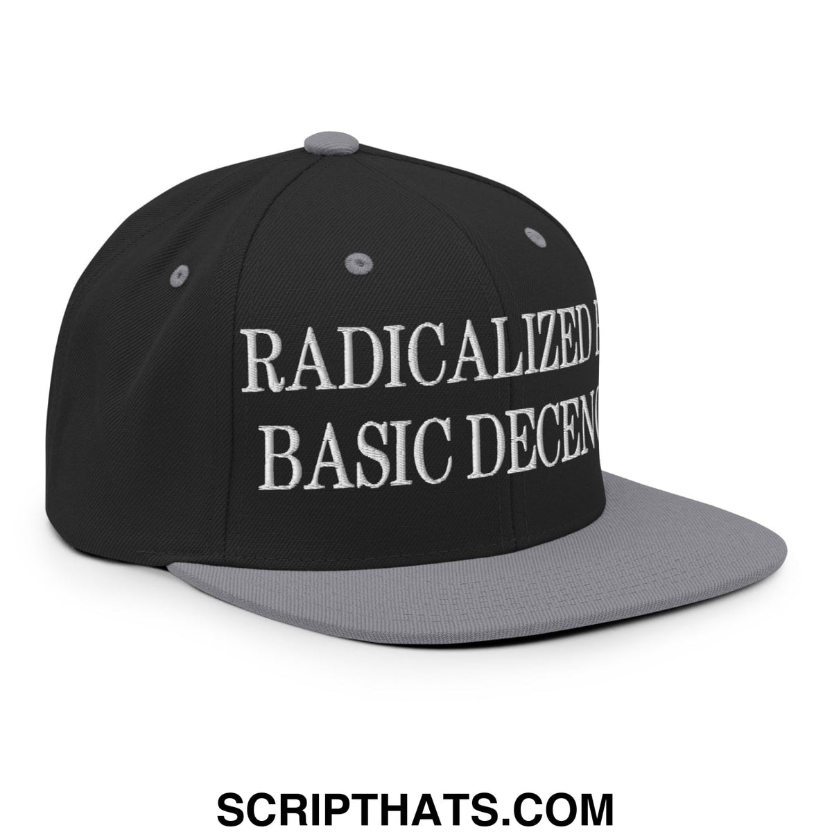 Black and gray snapback hat with white embroidered radicalized basic decency text on flat bill brim