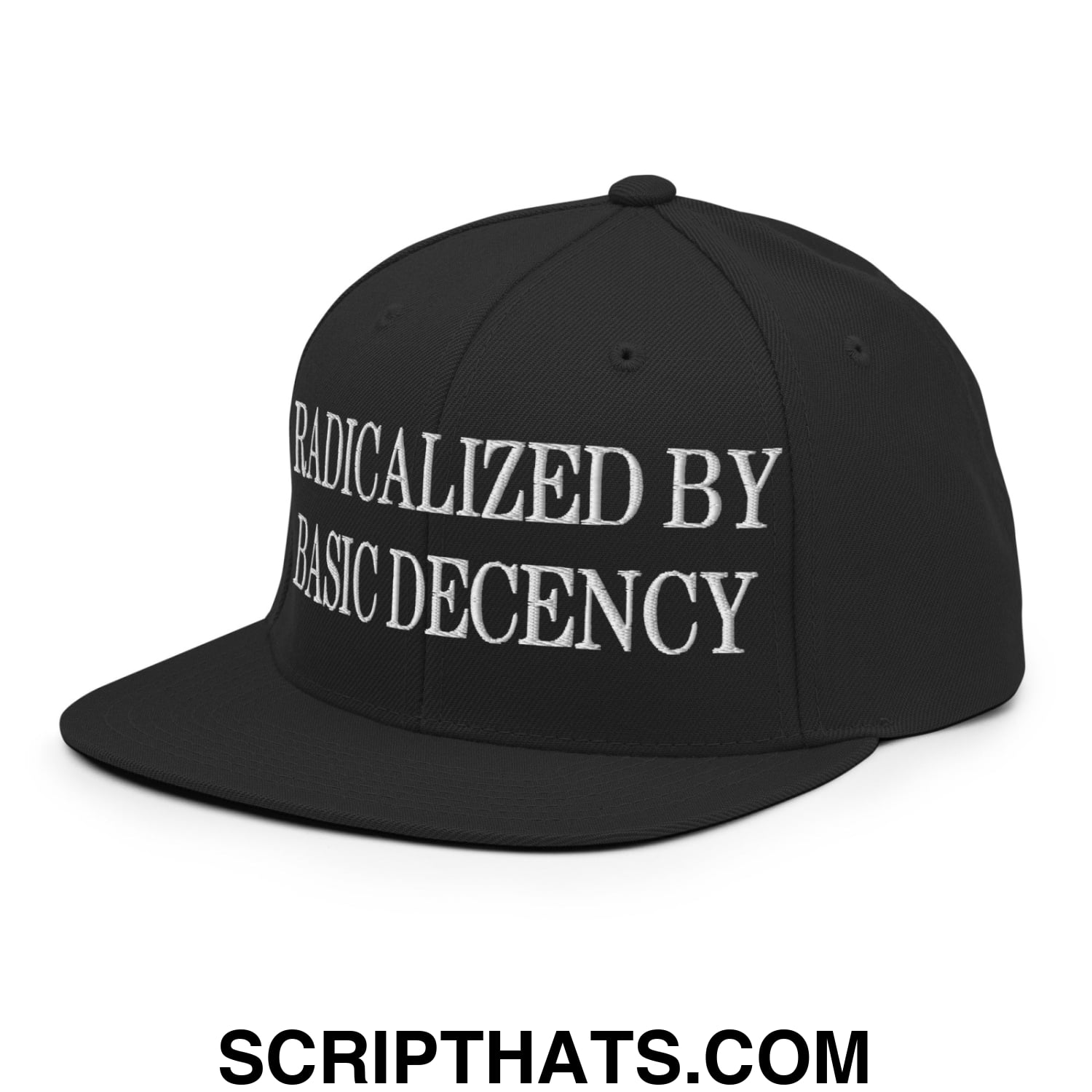 Radicalized by Basic Decency Embroidered Flat Bill Brim Snapback Hat Black