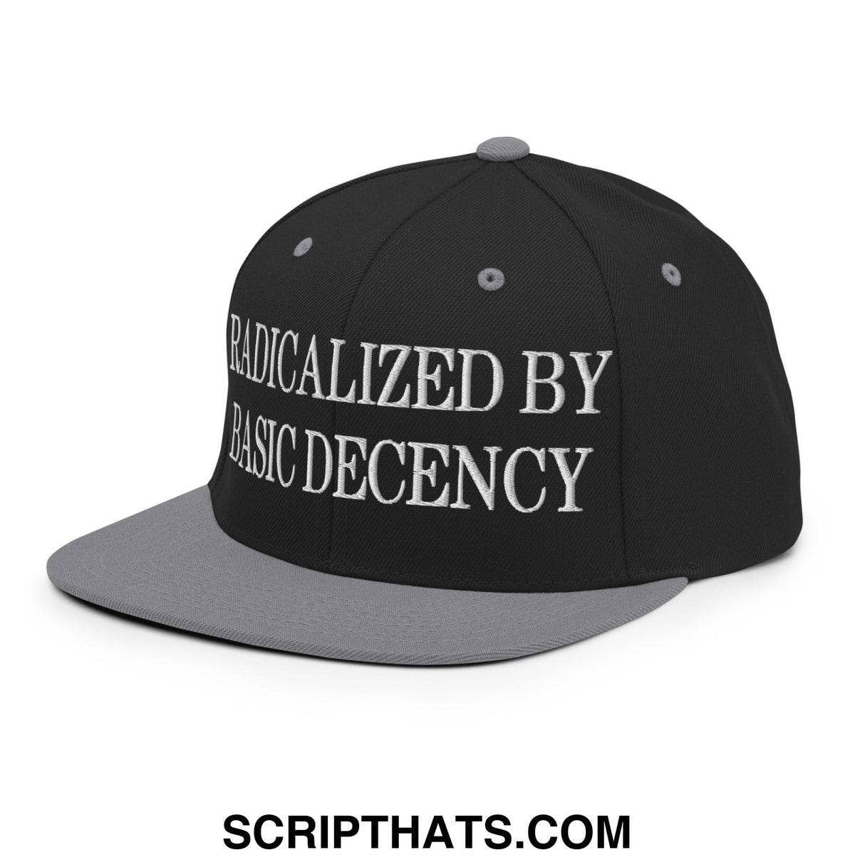 Black and gray snapback hat with white embroidered radicalized by basic decency text and flat bill brim