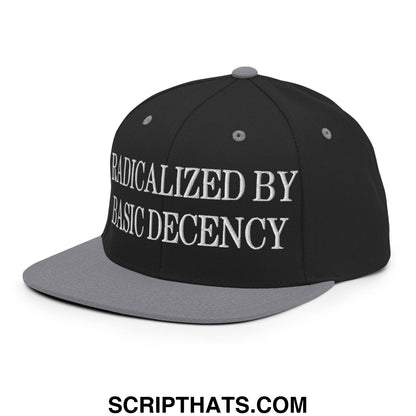 Black and gray snapback hat with white embroidered radicalized by basic decency text and flat bill brim